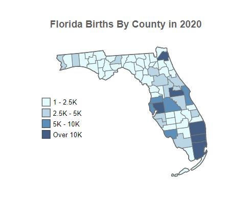 Florida Births By County in 2020