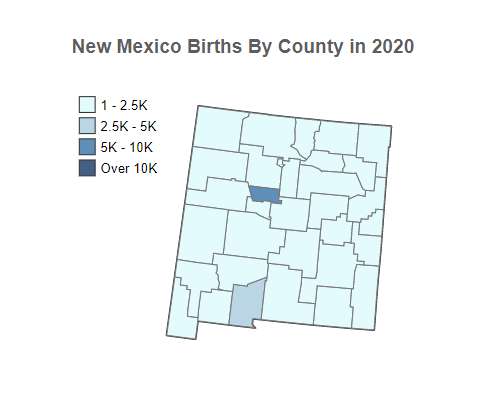 New Mexico Births By County in 2020