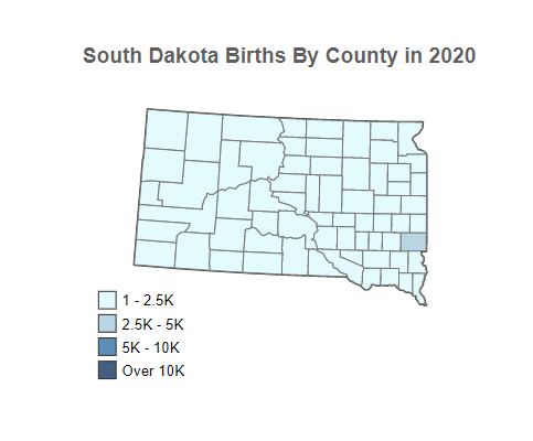South Dakota Births By County in 2020