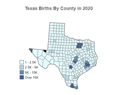 Texas Births By County in 2020
