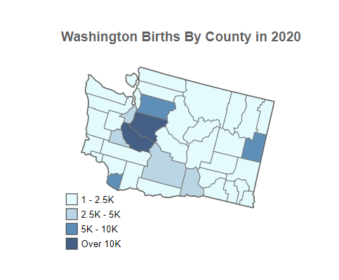 Washington Births By County in 2020