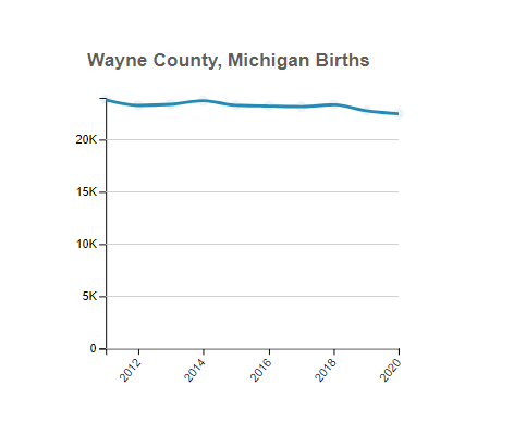 Wayne (County), Michigan Births